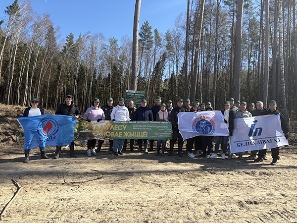 Работники Минэнерго совместно с объединением «Белтопгаз» и предприятием «Минскоблгаз» приняли участие в акции «Дай лесу новае жыццё»